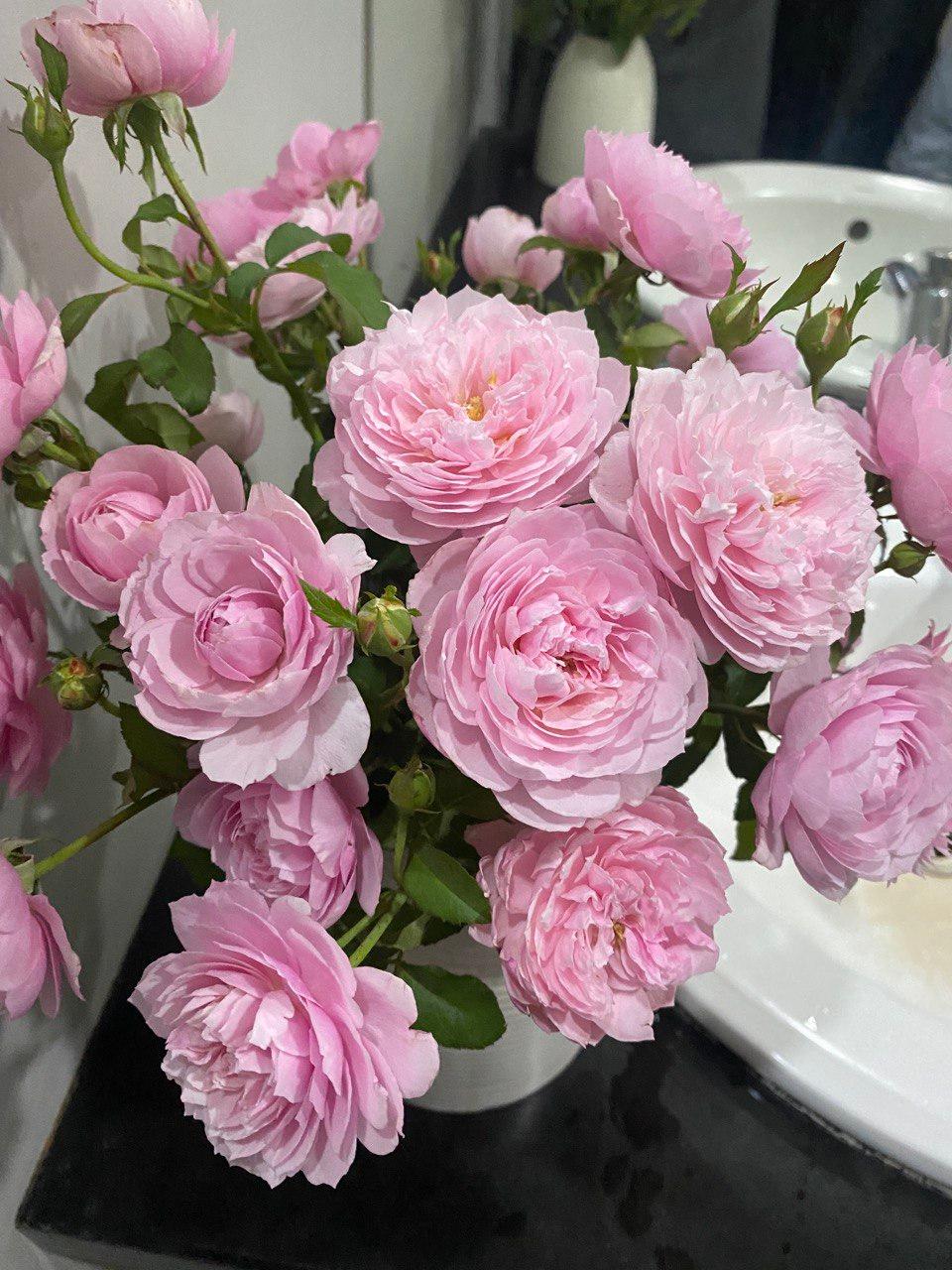 How to play DRM content on various client platforms To prevent unauthorized use